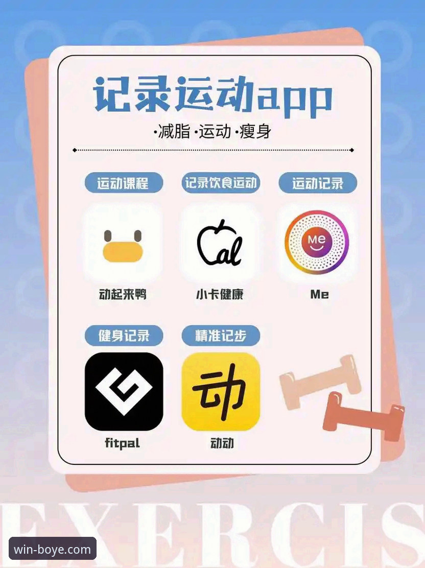 博业体育APP iOS版最新版全面解析：下载、安装与使用实战指南